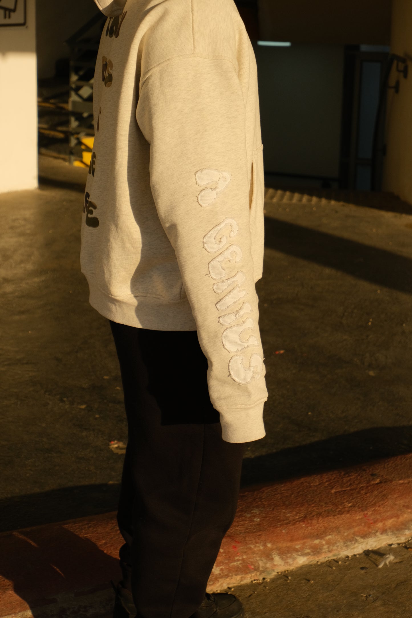 "A GENIUS" GREY HOODIE
