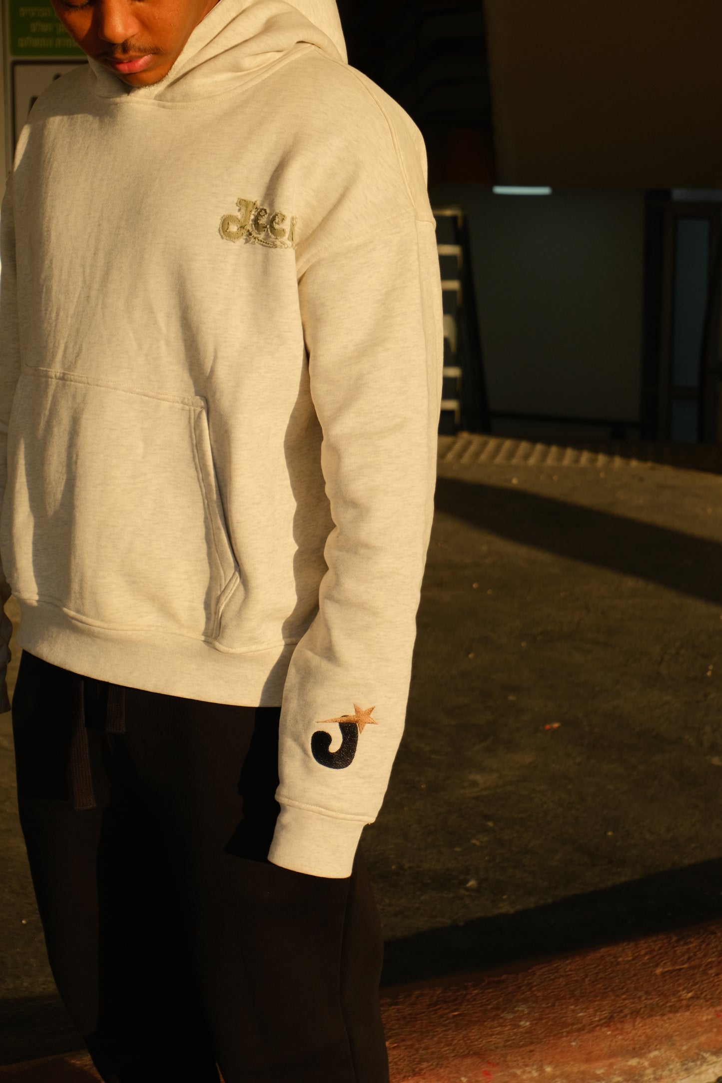 "A GENIUS" GREY HOODIE