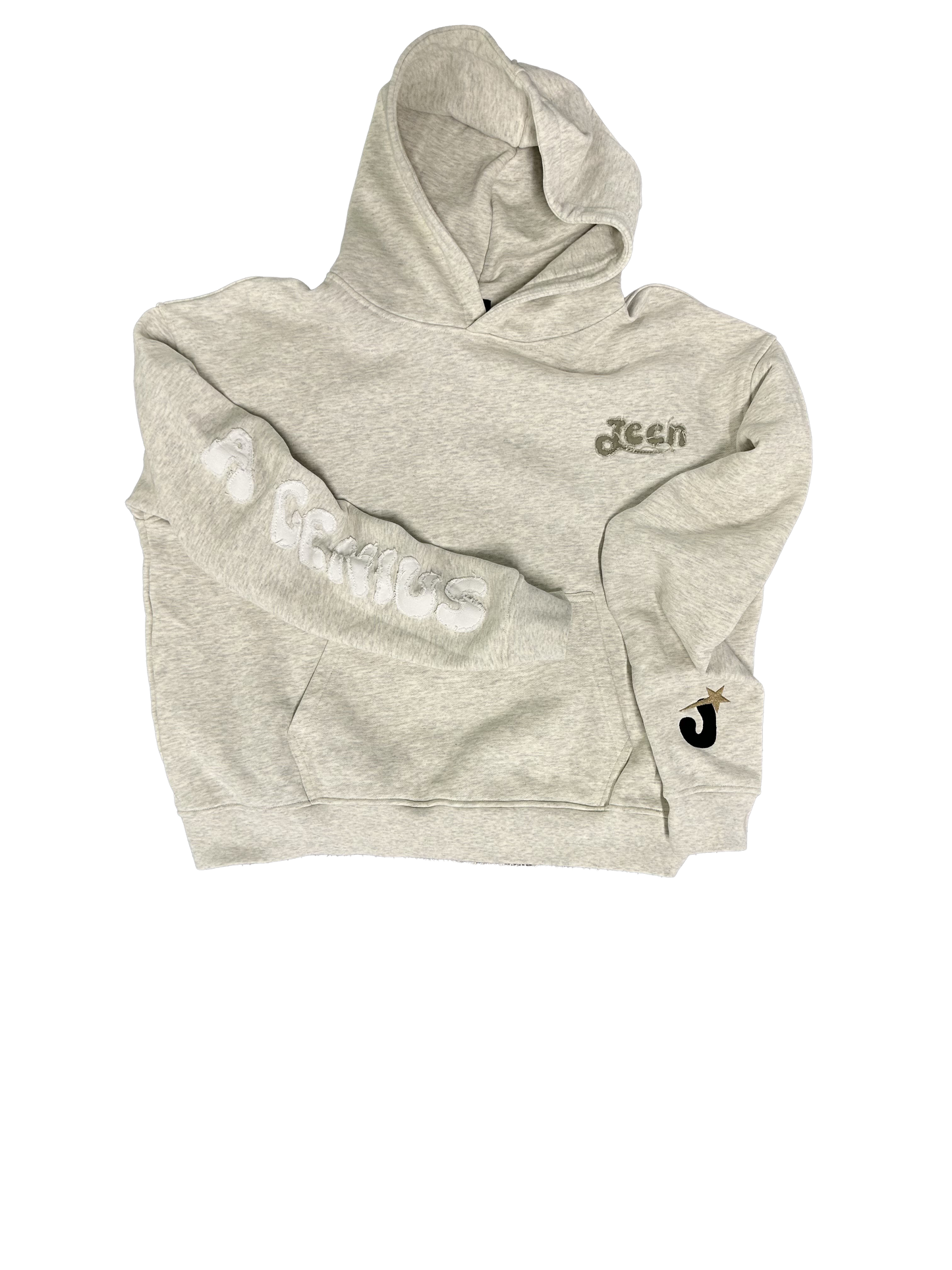 "A GENIUS" GREY HOODIE